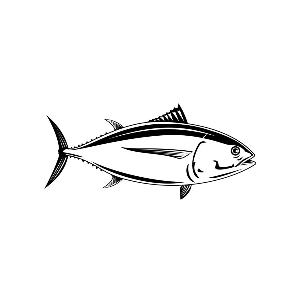 atún blanco del Pacífico thunnus alalunga o atún de aleta larga vista lateral retro xilografía en blanco y negro vector