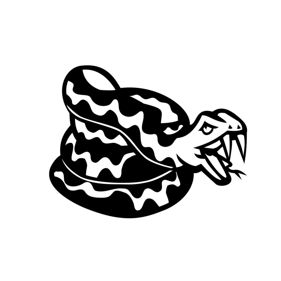 Aggressive Coiled Snake Viper or  Python Mascot Retro Black and White vector