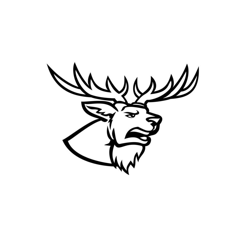 Cabeza de un ciervo rojo o Cervus elaphus ciervo o ciervo con astas rugiendo mascota vista lateral en blanco y negro vector