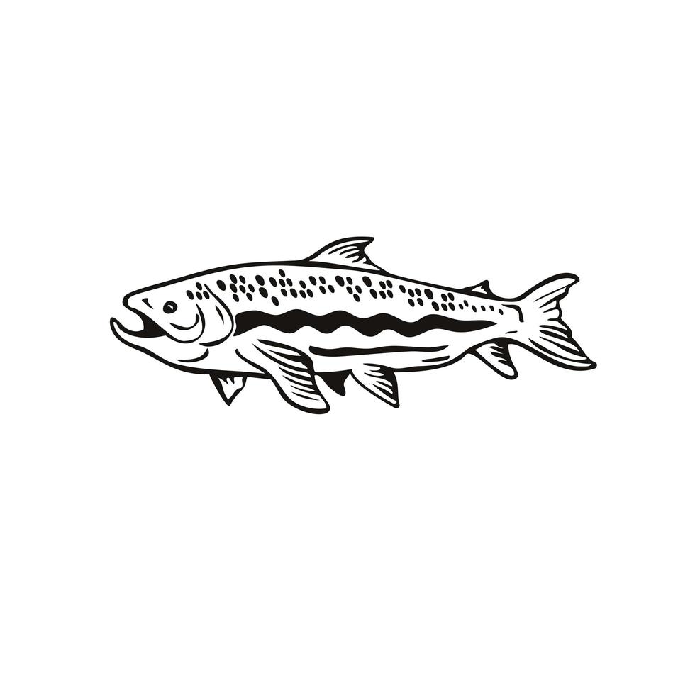 Spotted Trout Fish Right Side View Retro Black and White vector