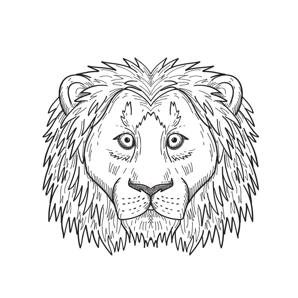 Head of a Coward and Scared Lion Front View Black and White Drawing vector