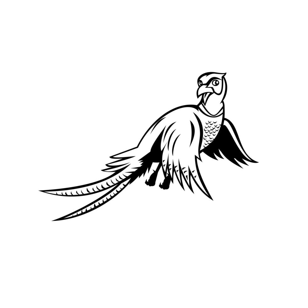 Ring-Necked Pheasant Flying Up Cartoon Black and White vector