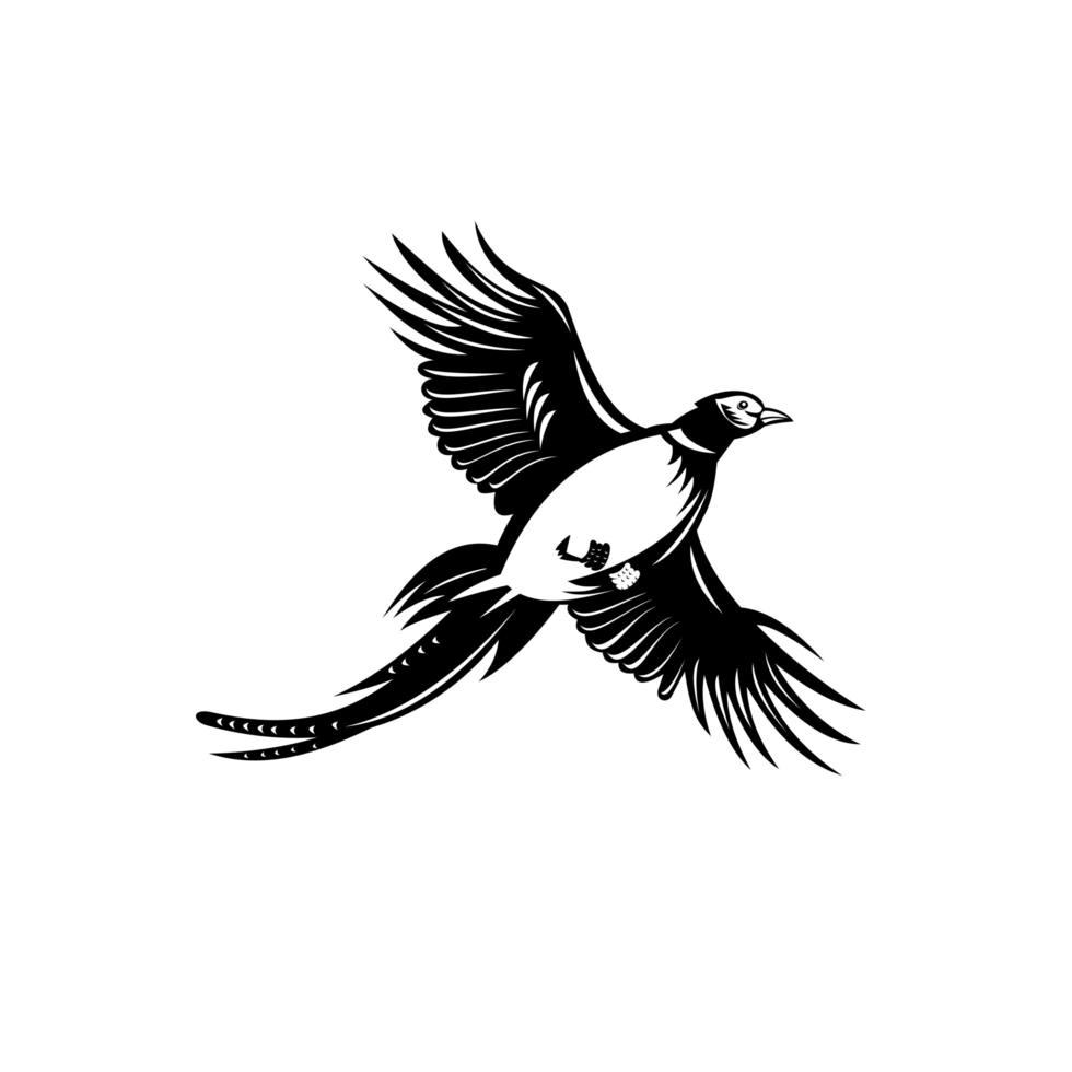 Ring-Necked Pheasant Flying Up Retro Black and White vector