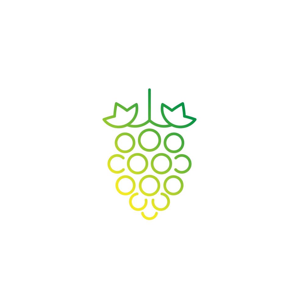 grape, vineyard vector line icon on white