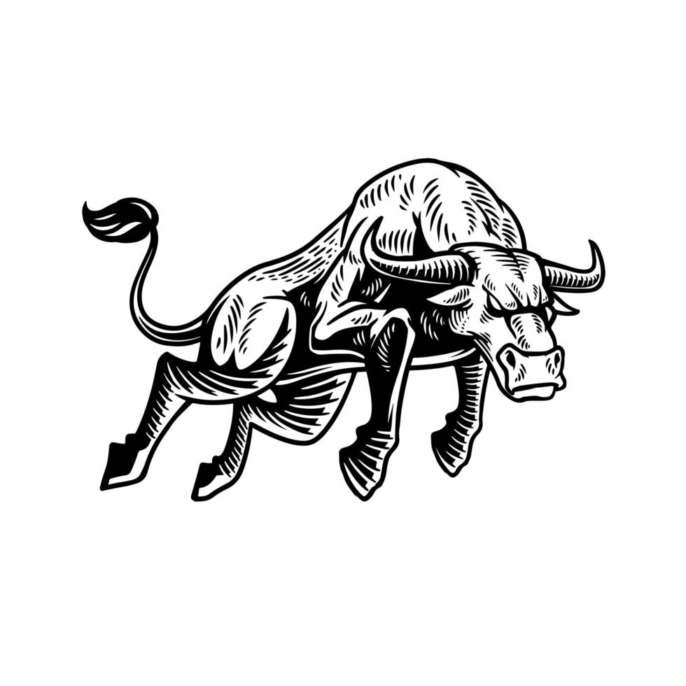 Ilustración de toro dibujado a mano monocromo con dibujo abstracto para camiseta, póster o logotipo aislado sobre fondo blanco vector