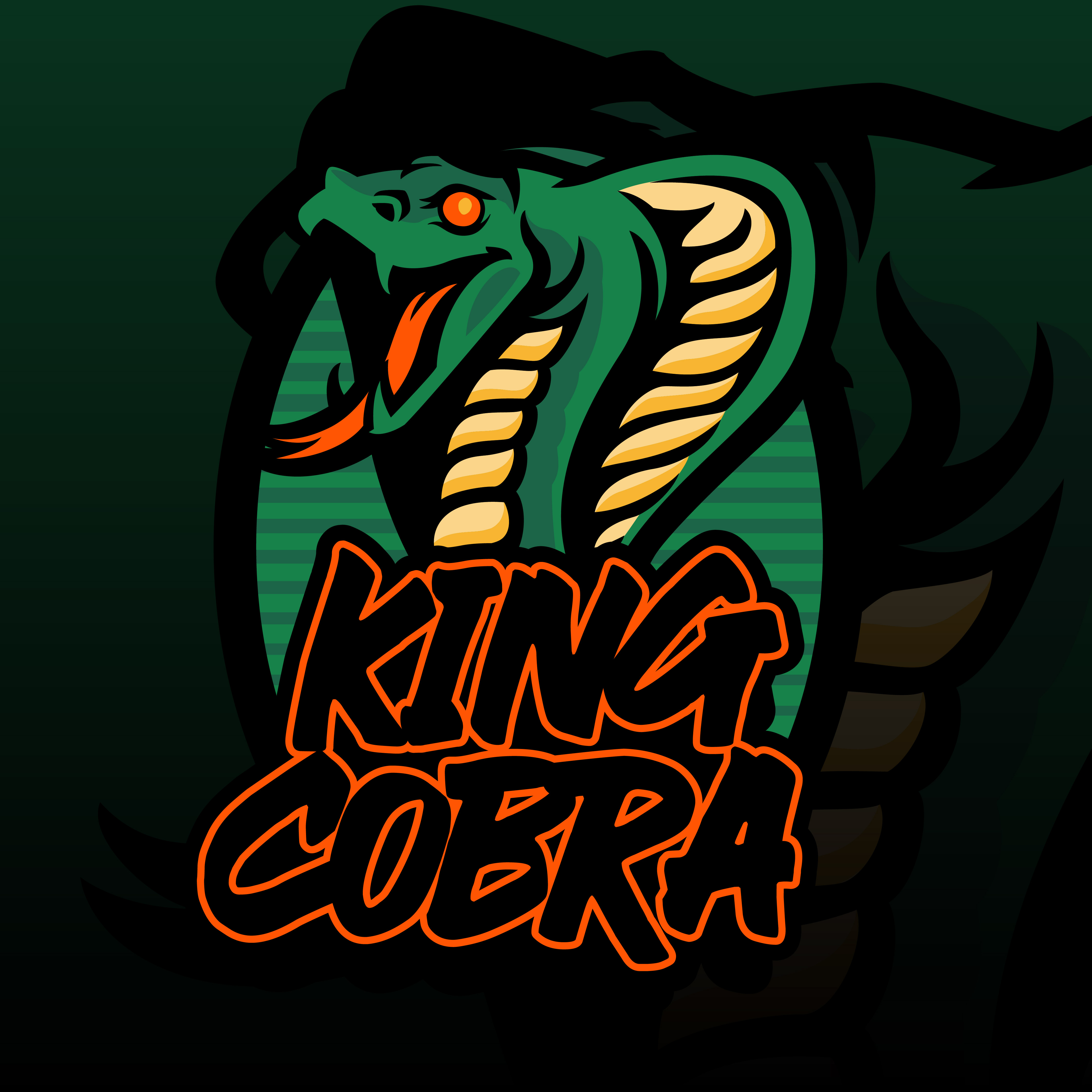 King cobra HD wallpapers  Pxfuel