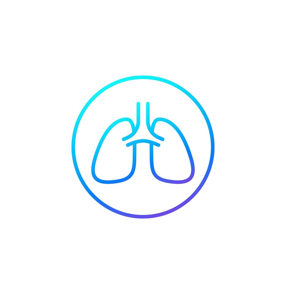 Lungs line icon on white vector