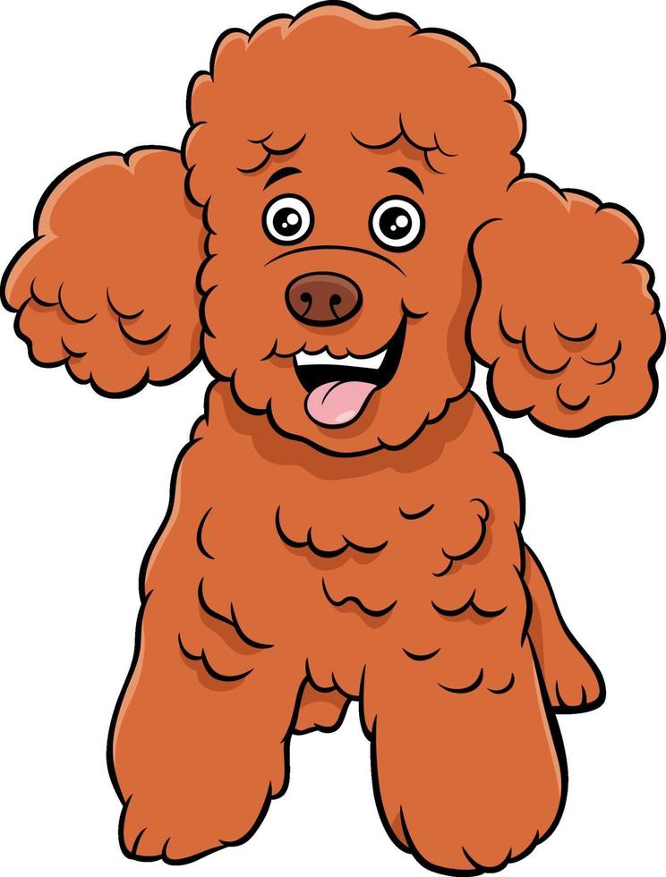poodle toy dog cartoon animal character vector