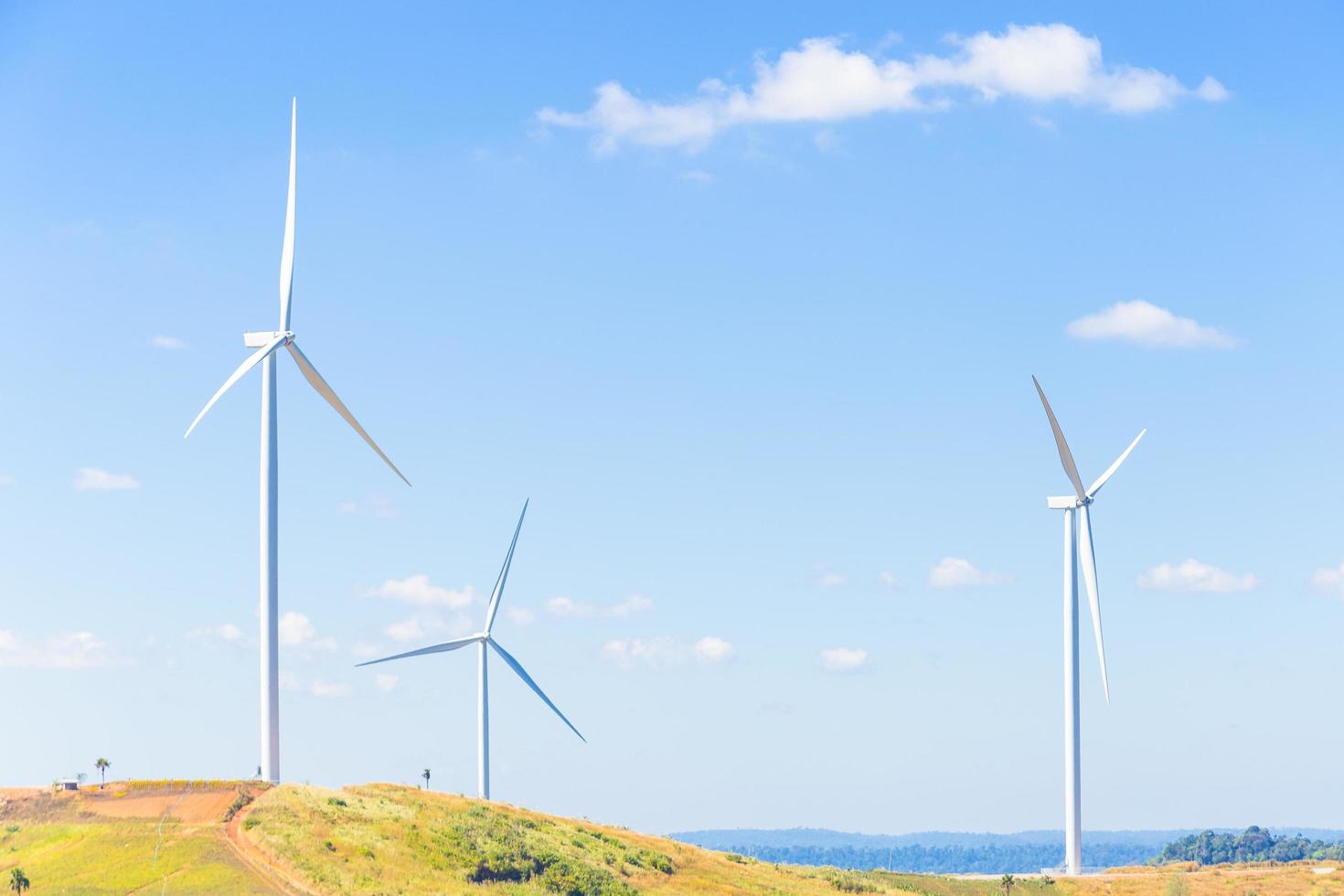 Wind turbines for generating power photo