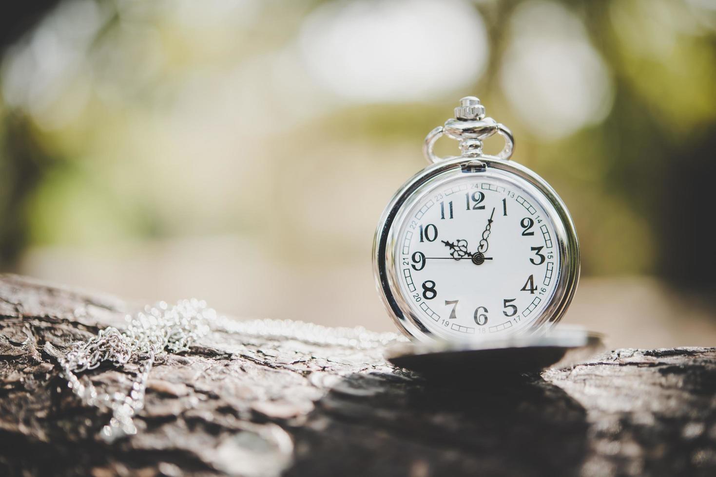 Close-up of a pocket watch on a tree branch outside photo