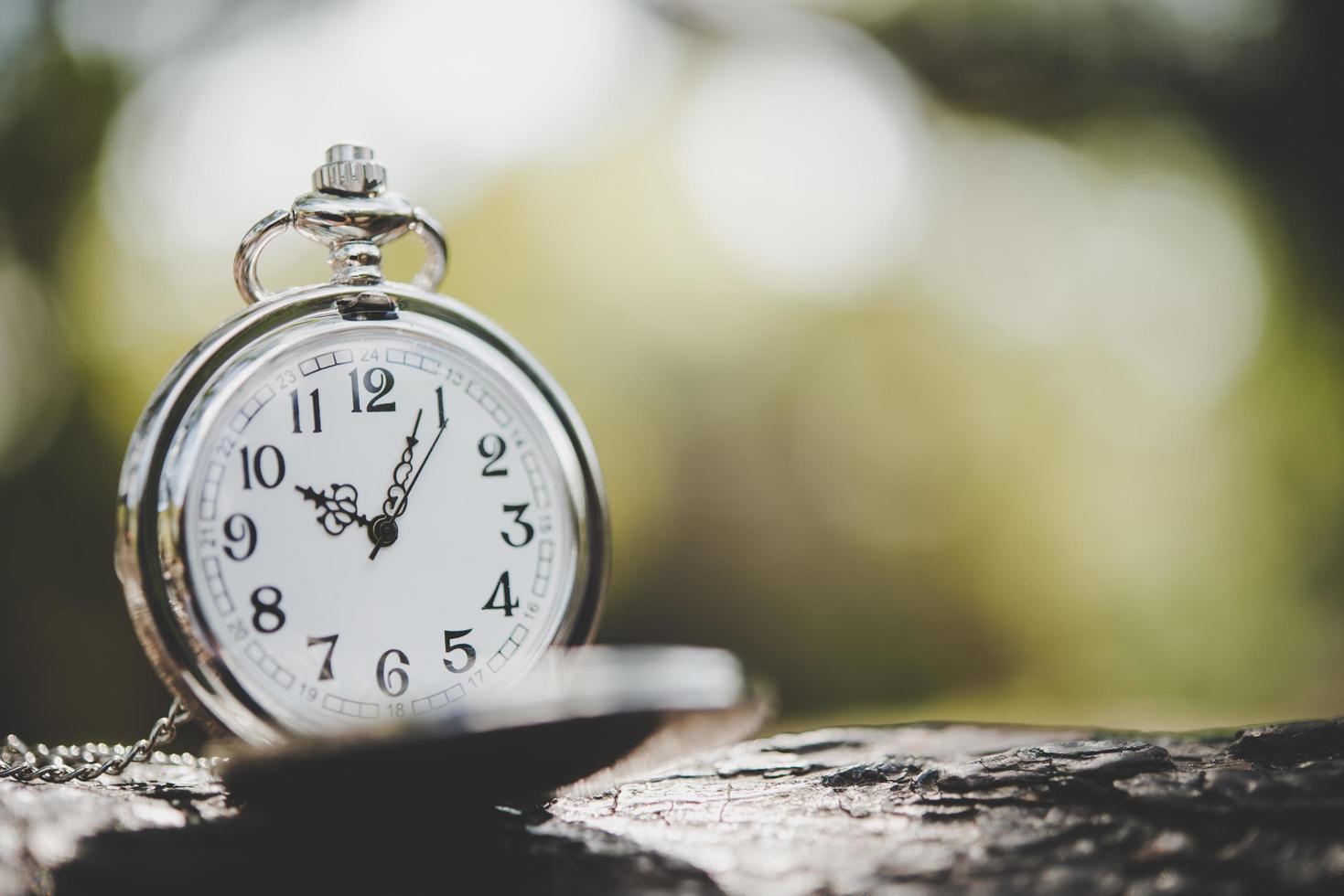 Close-up de un reloj de bolsillo en la rama de un árbol fuera foto