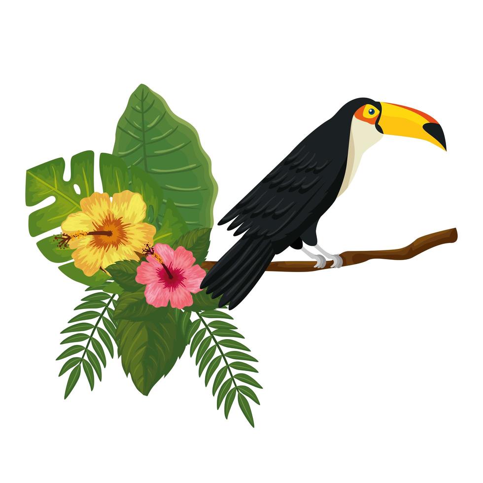 toucan on branch with leafs and flowers vector