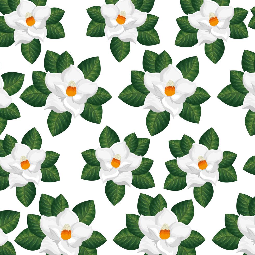 background of flowers with leafs tropicals vector