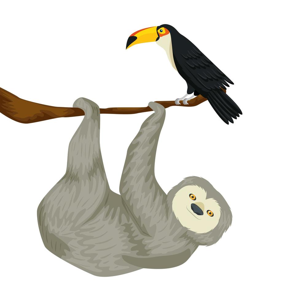 bear sloth hanging of branch with toucan vector