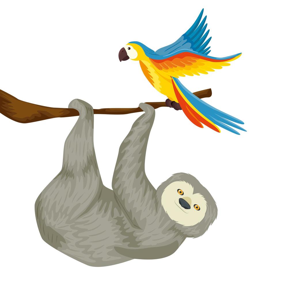 bear sloth hanging of branch with parrot vector