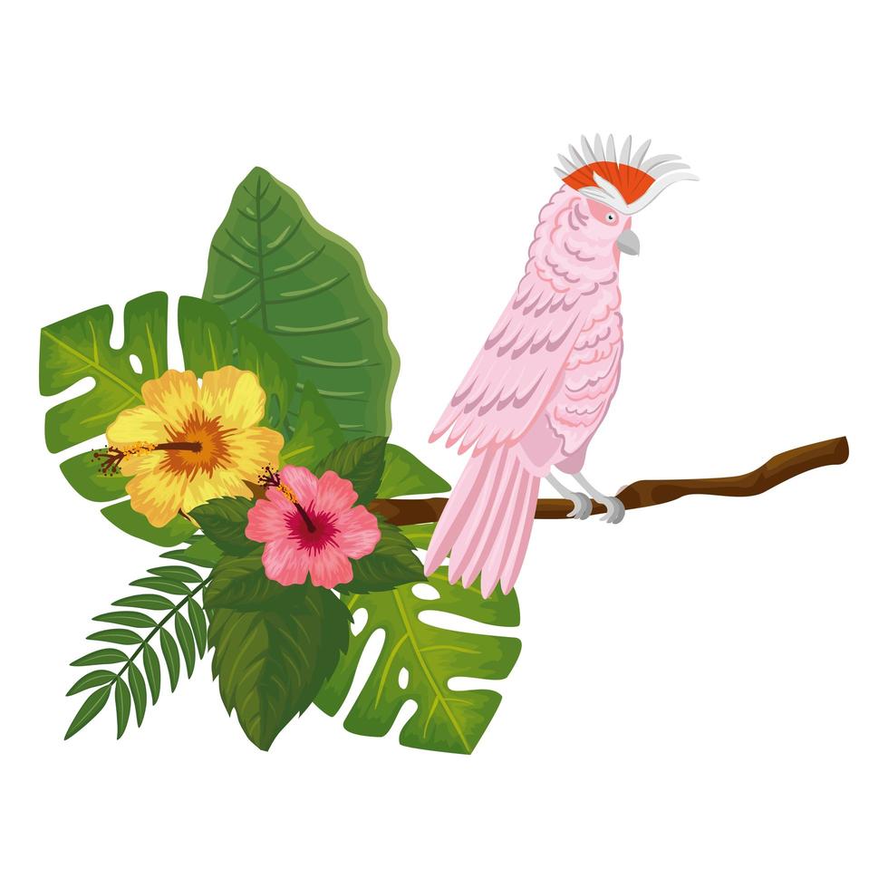 parrot pink in branch with flowers and leafs vector