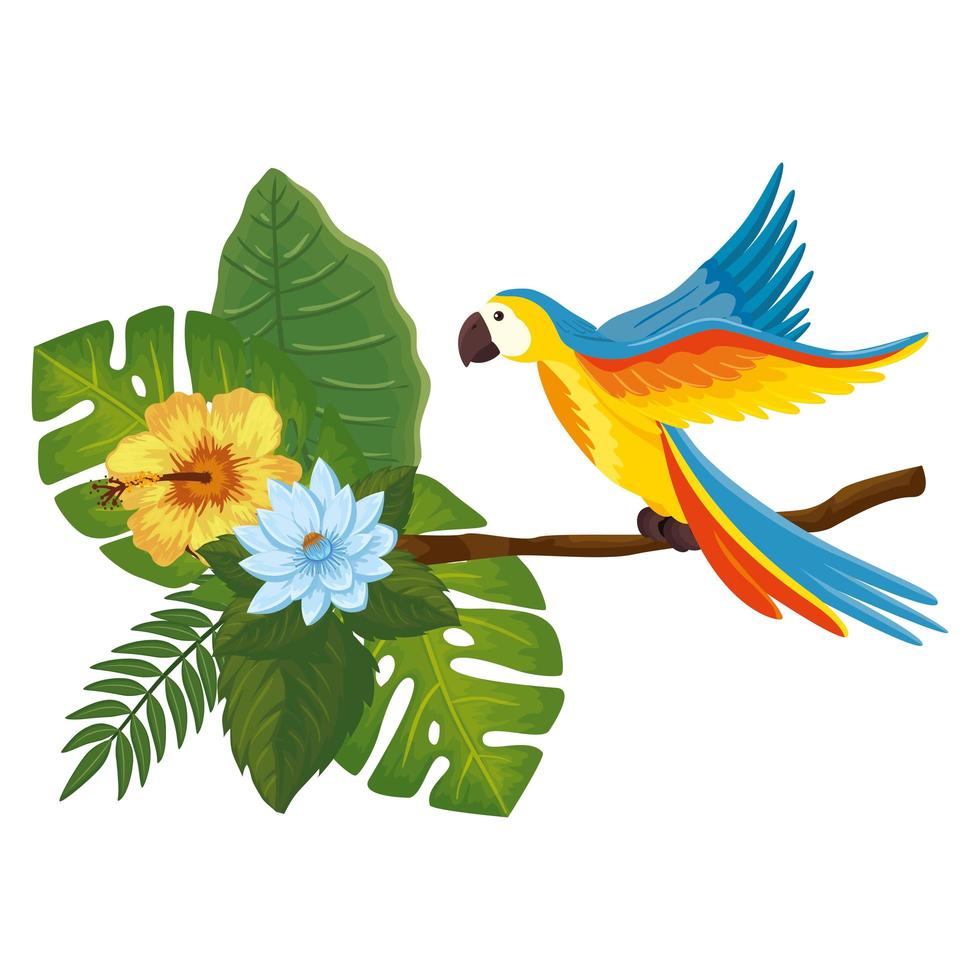 parrot animal in branch with leafs and flowers vector