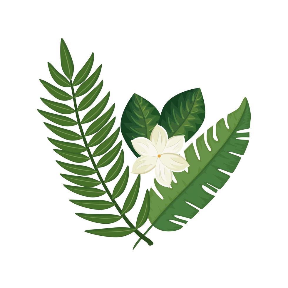 cute flower with branches and leafs isolated icon vector