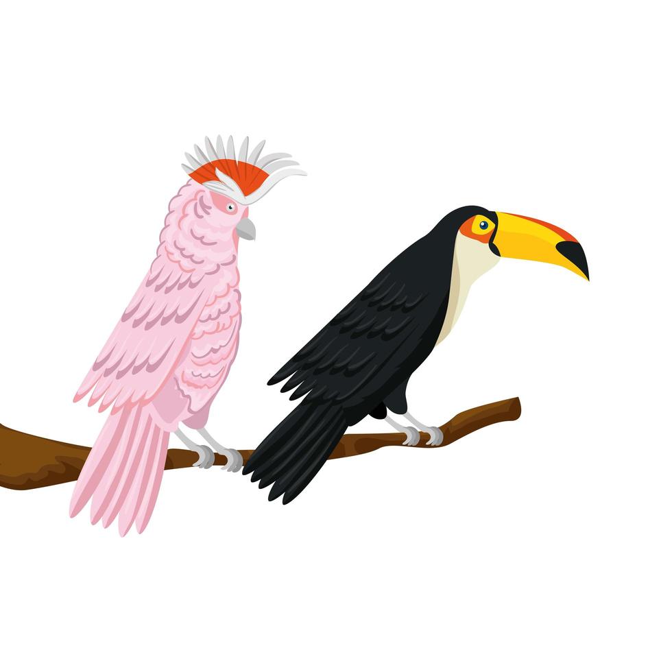loro rosa con tucán en rama icono aislado vector