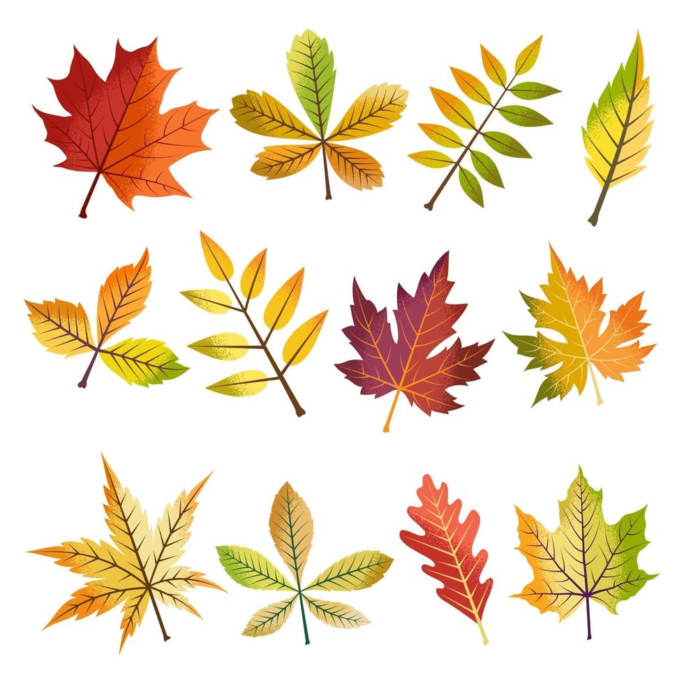 conjunto de hojas de otoño vector