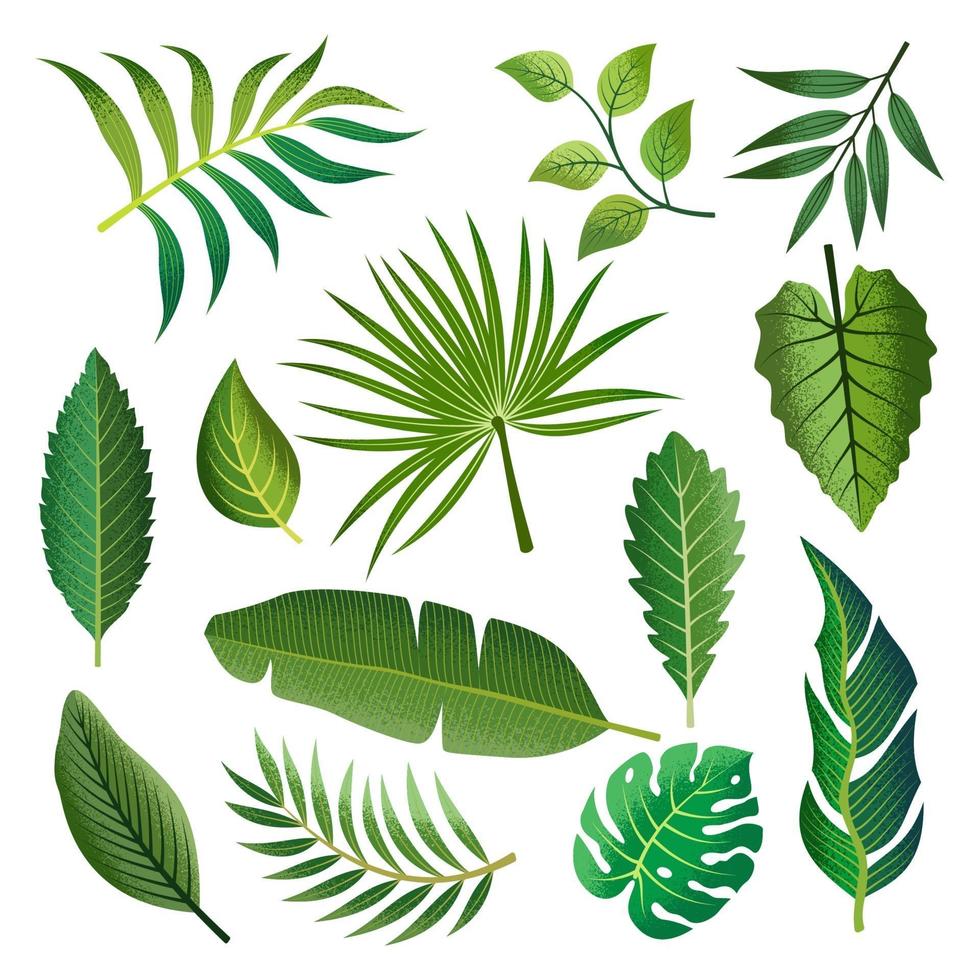 Tropical leaf and foliage set vector