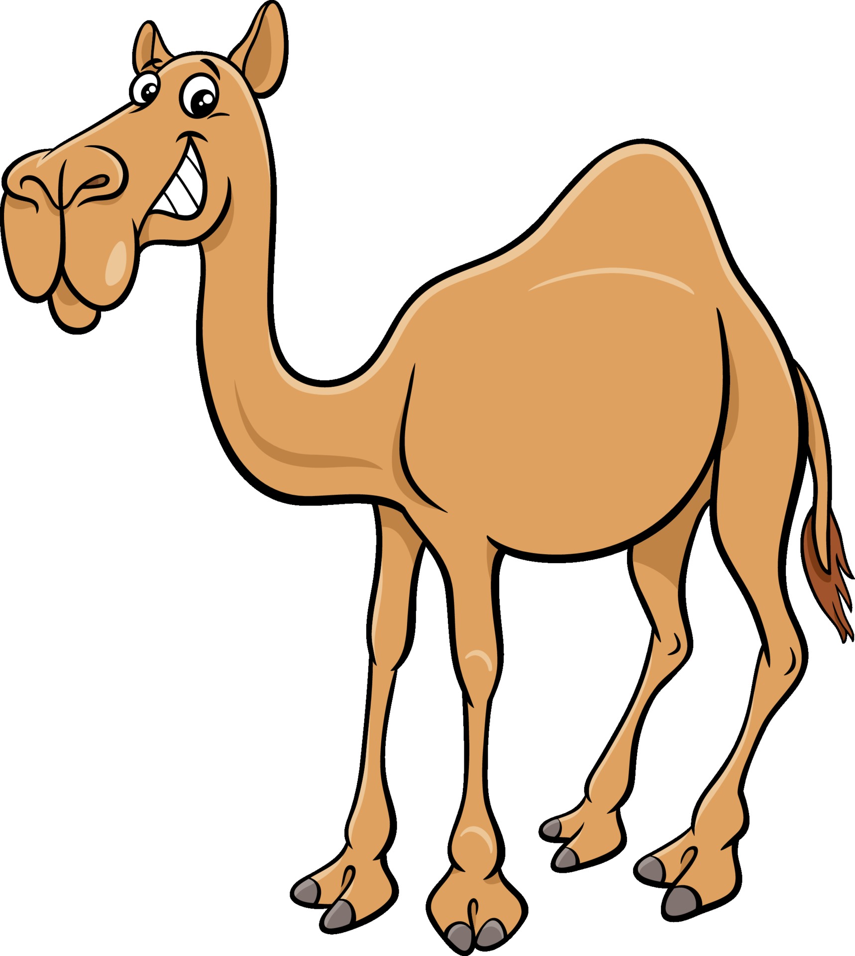 Cartoon Dromedary Camel Comic Animal Character Vector Art At Vecteezy