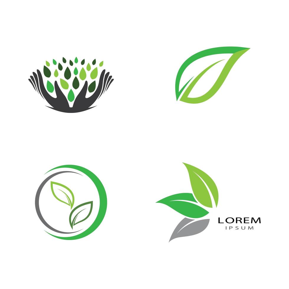 imagenes de logo de hoja vector