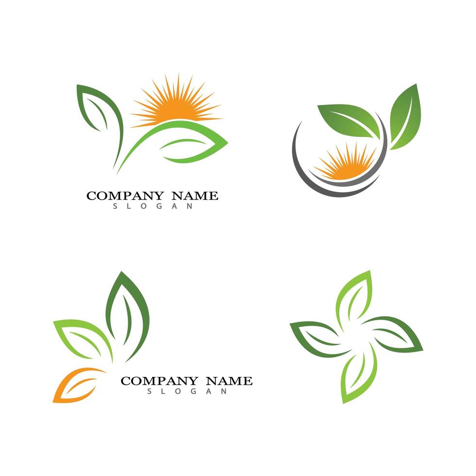 Leaf logo images vector