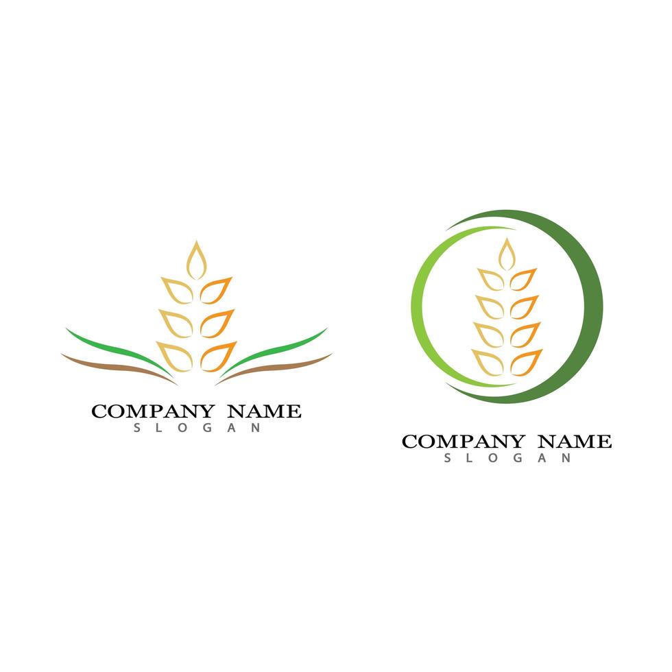 Wheat logo images vector