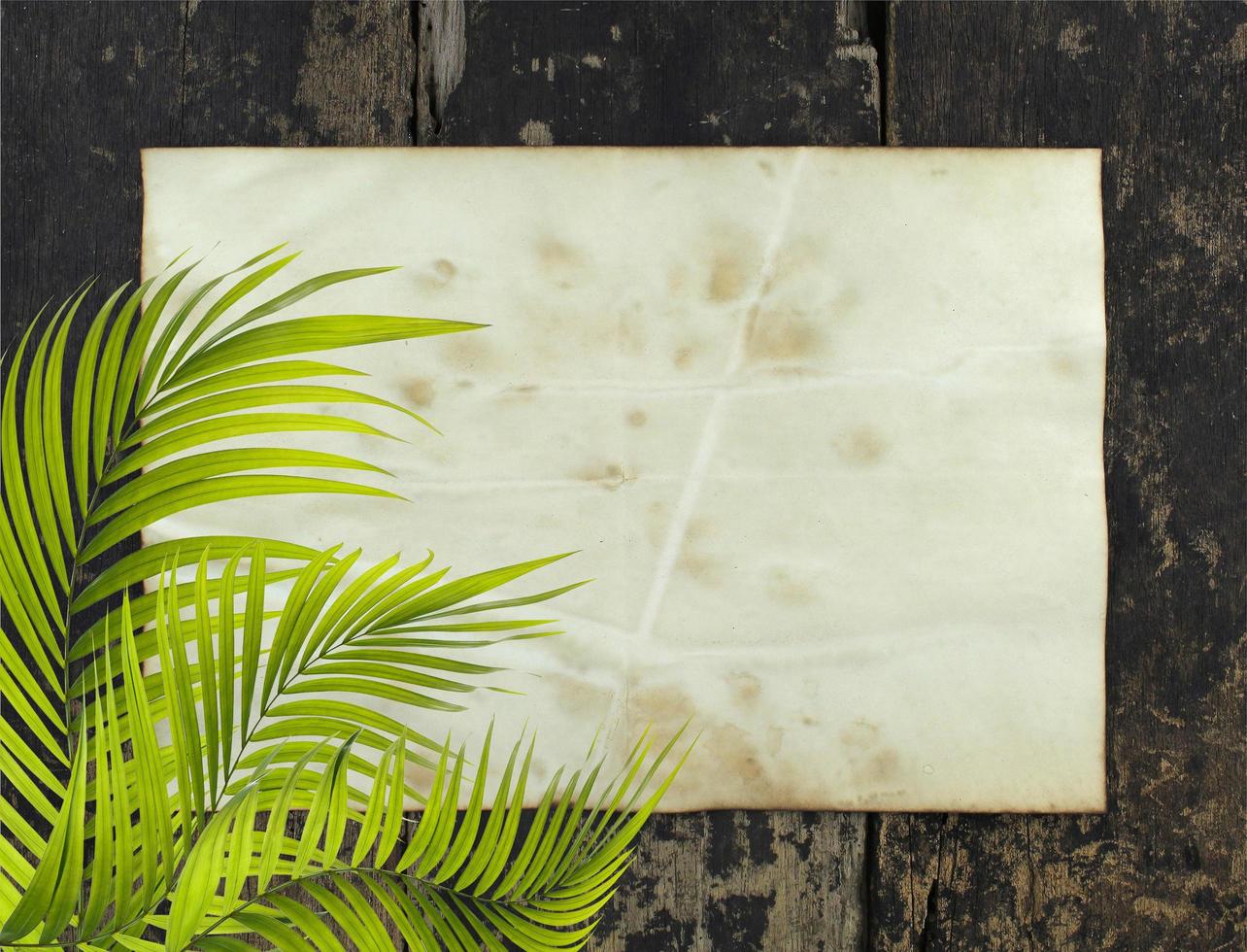 Palm leaves with rustic paper photo
