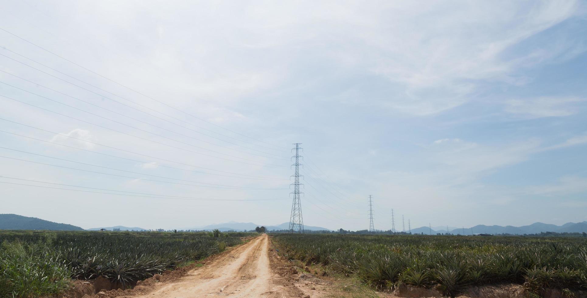 High voltage poles photo