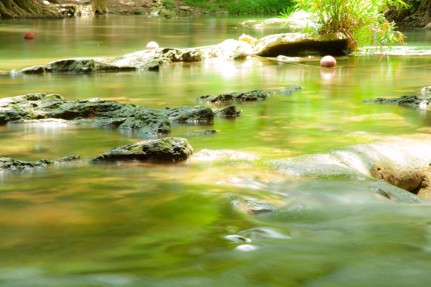 pequeño río en el bosque en tailandia foto