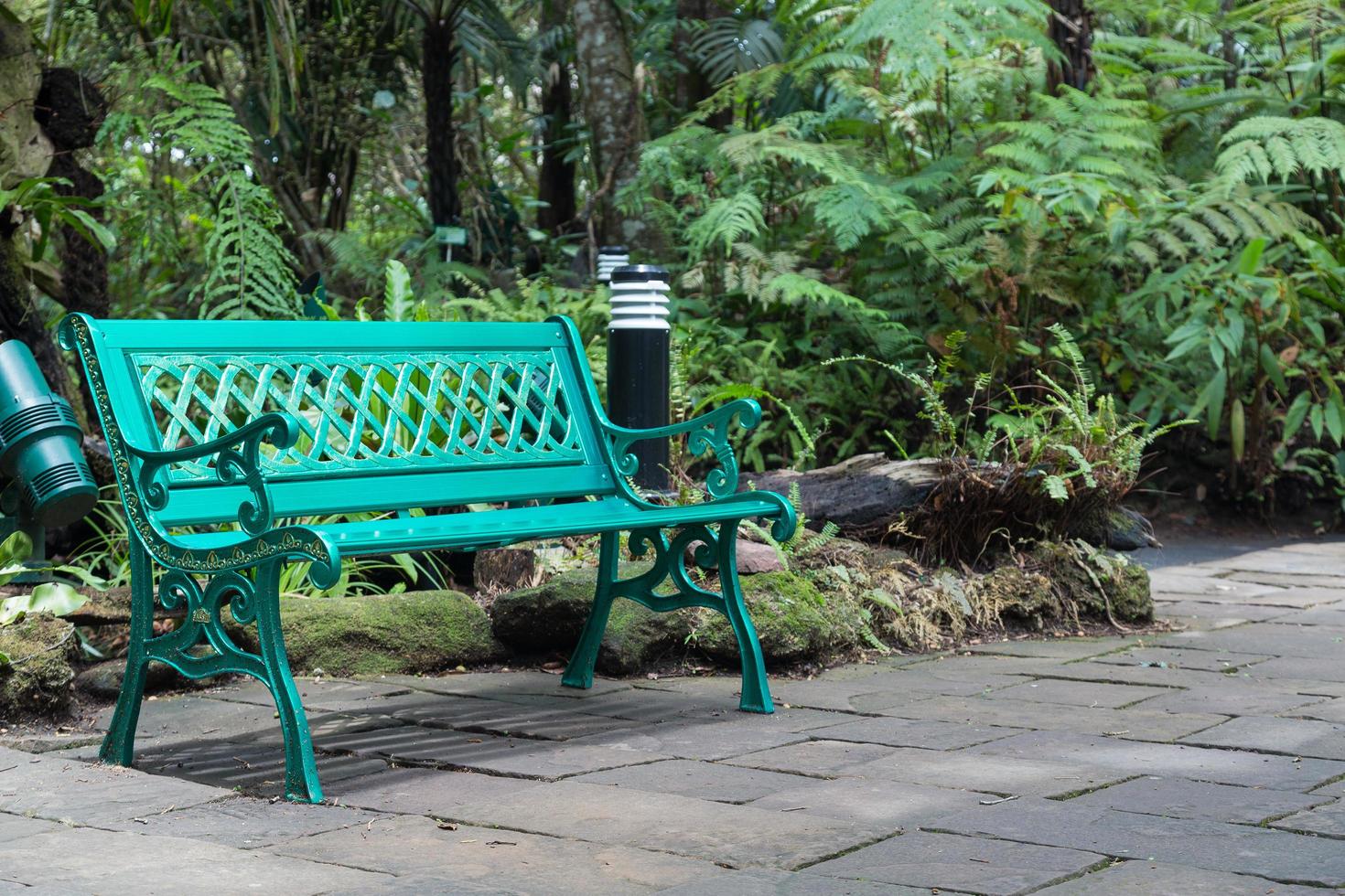 Green bench in the park photo