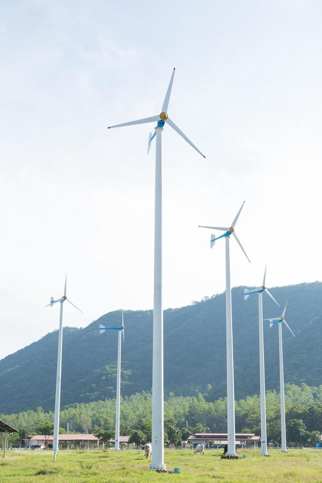 Wind turbines generating electricity photo