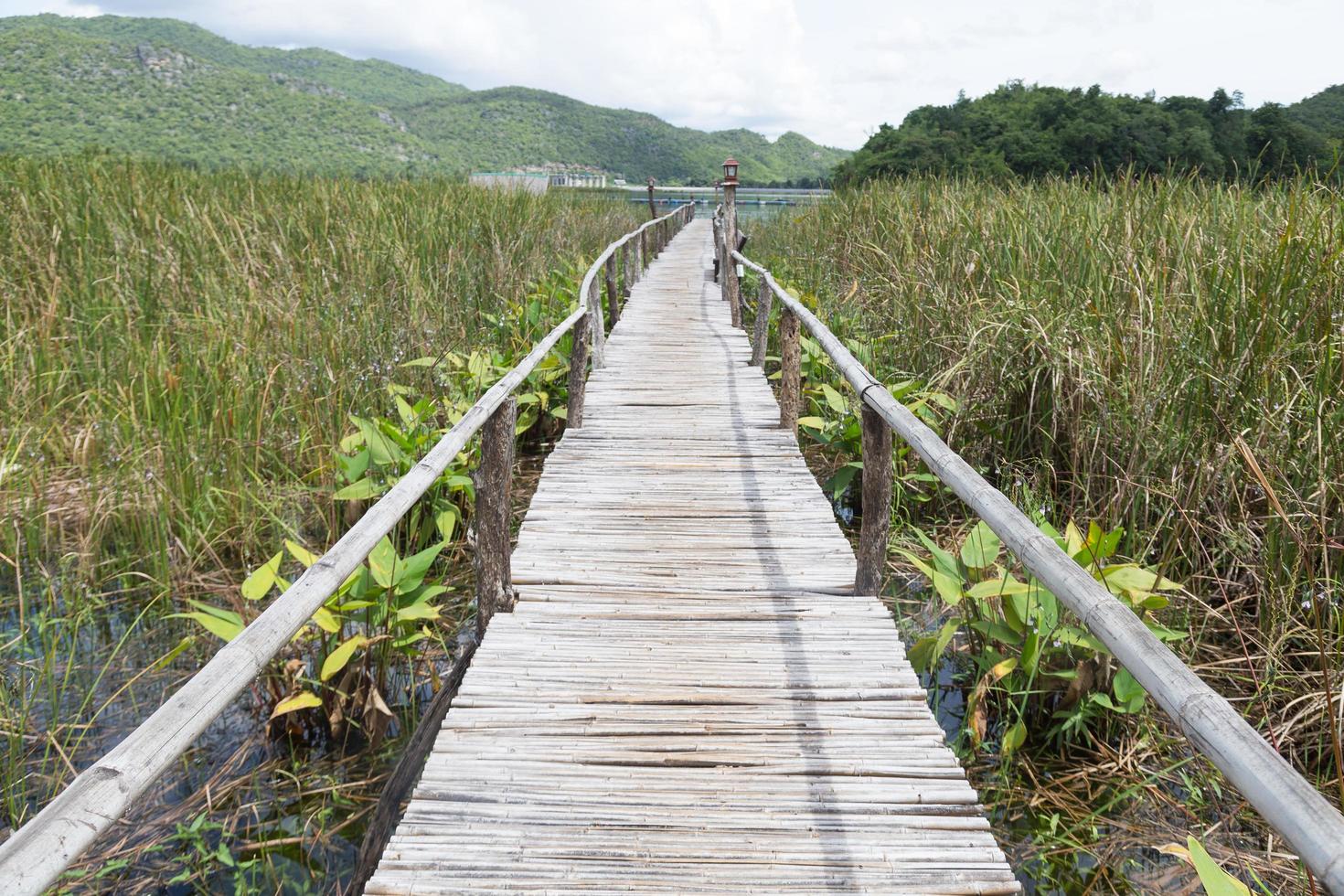 pasarela de madera en tailandia foto