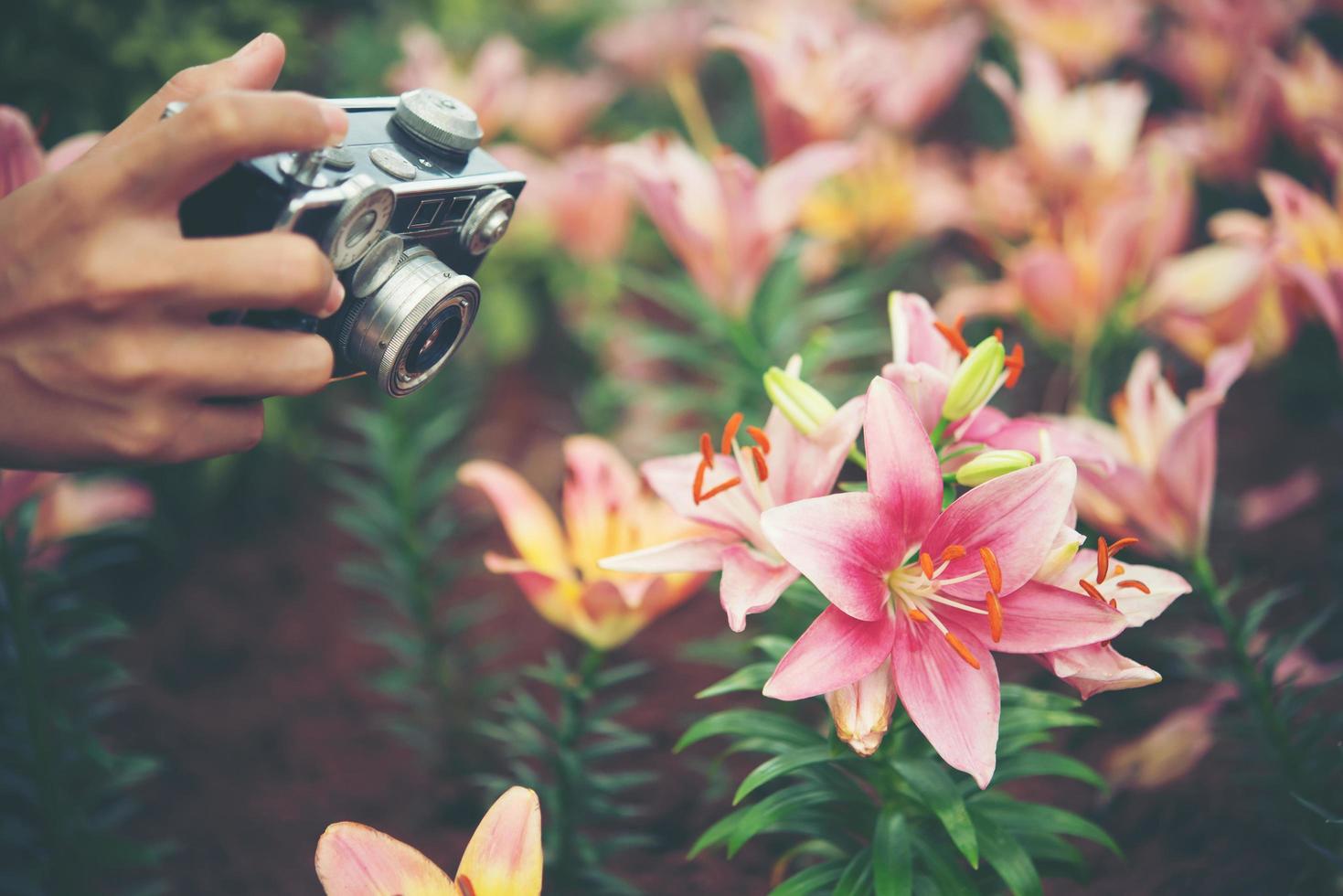 Primer plano de la mano de una mujer con una cámara vintage disparando flores en un jardín. foto