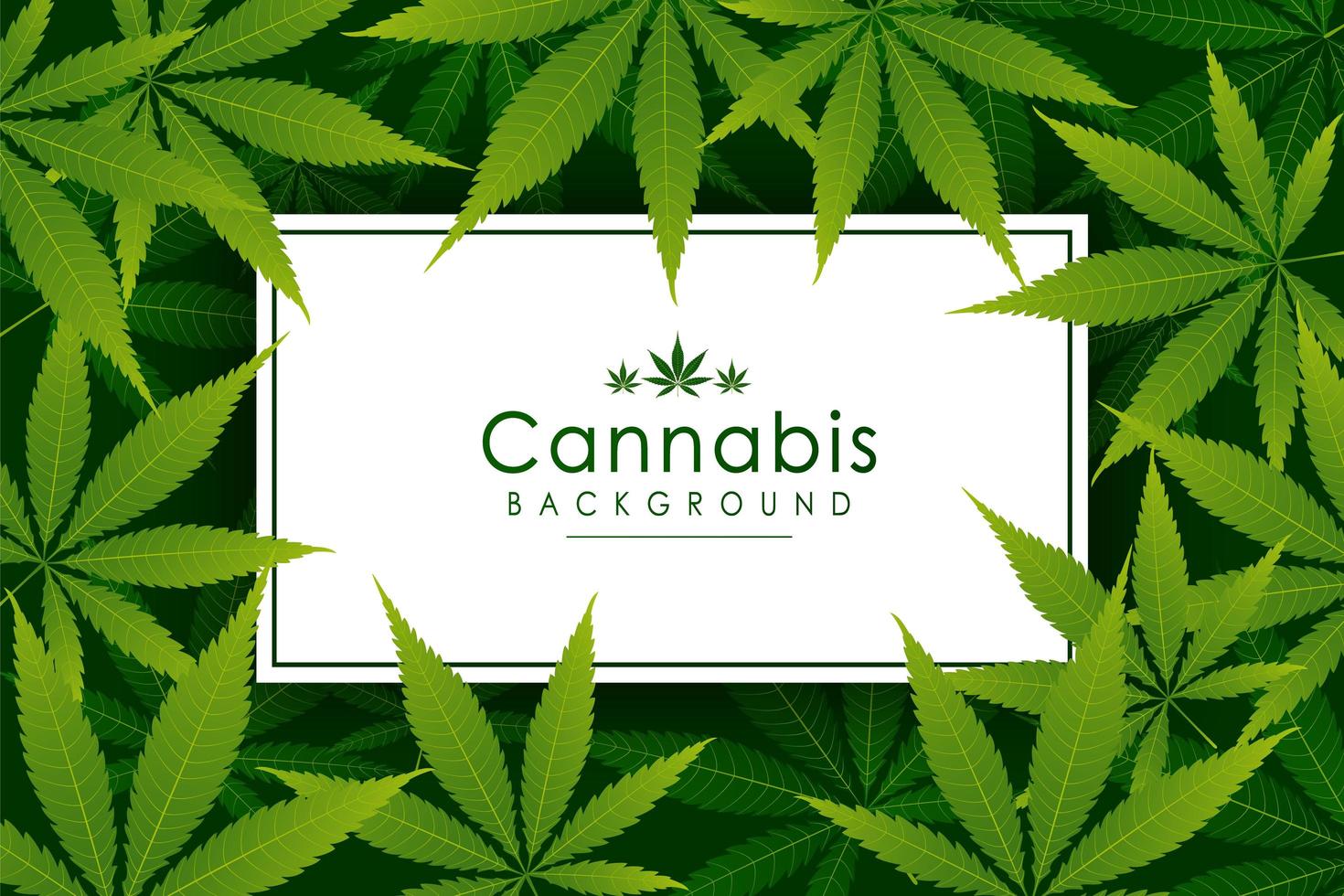 Green cannabis leaf herb background vector