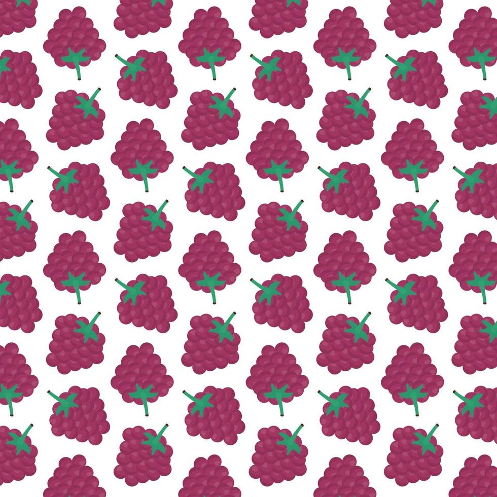 Pattern of raspberries vector