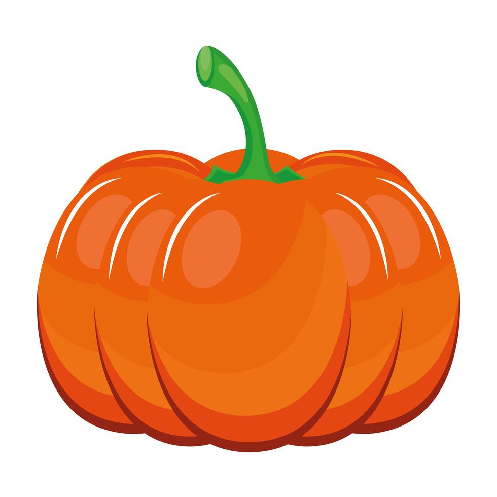fresh pumpkin vegetable healthy food icon vector
