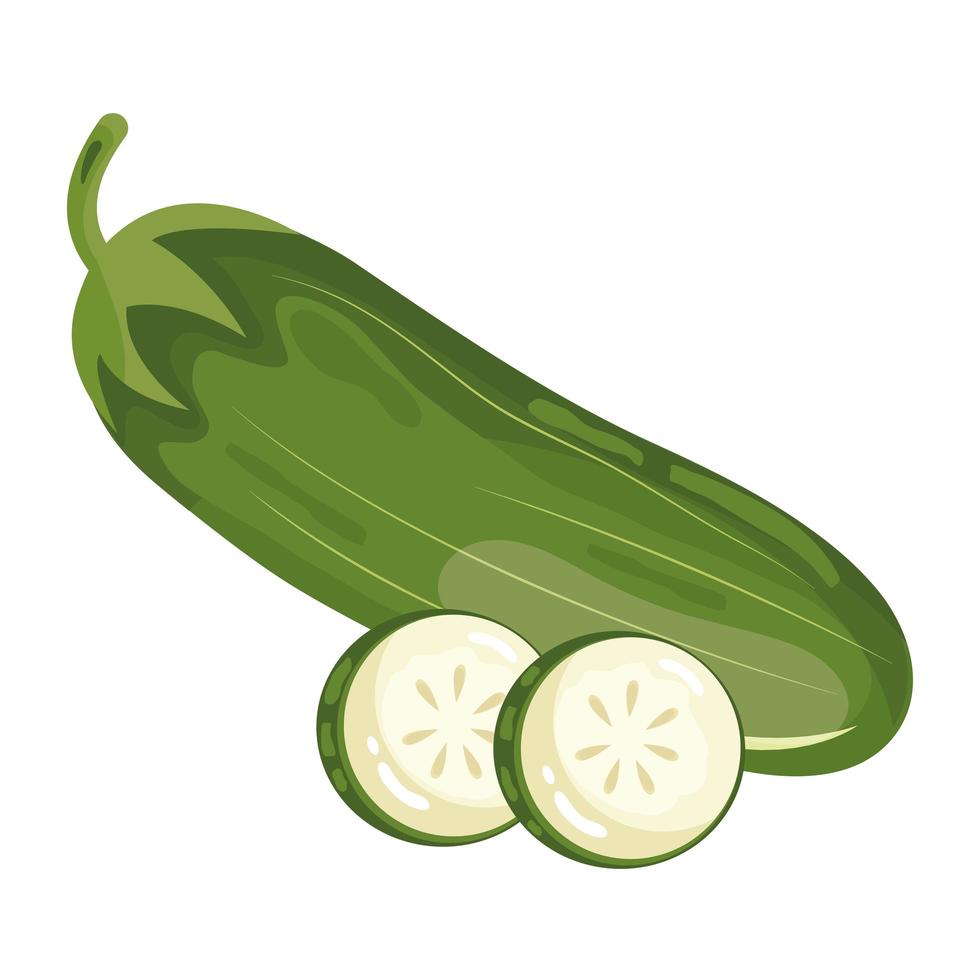 pepino fresco vegetal icono de comida sana vector