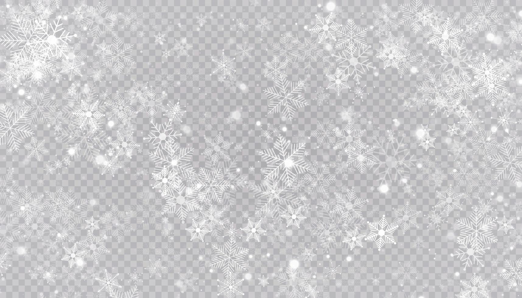 White snow flakes on a transparent background. vector