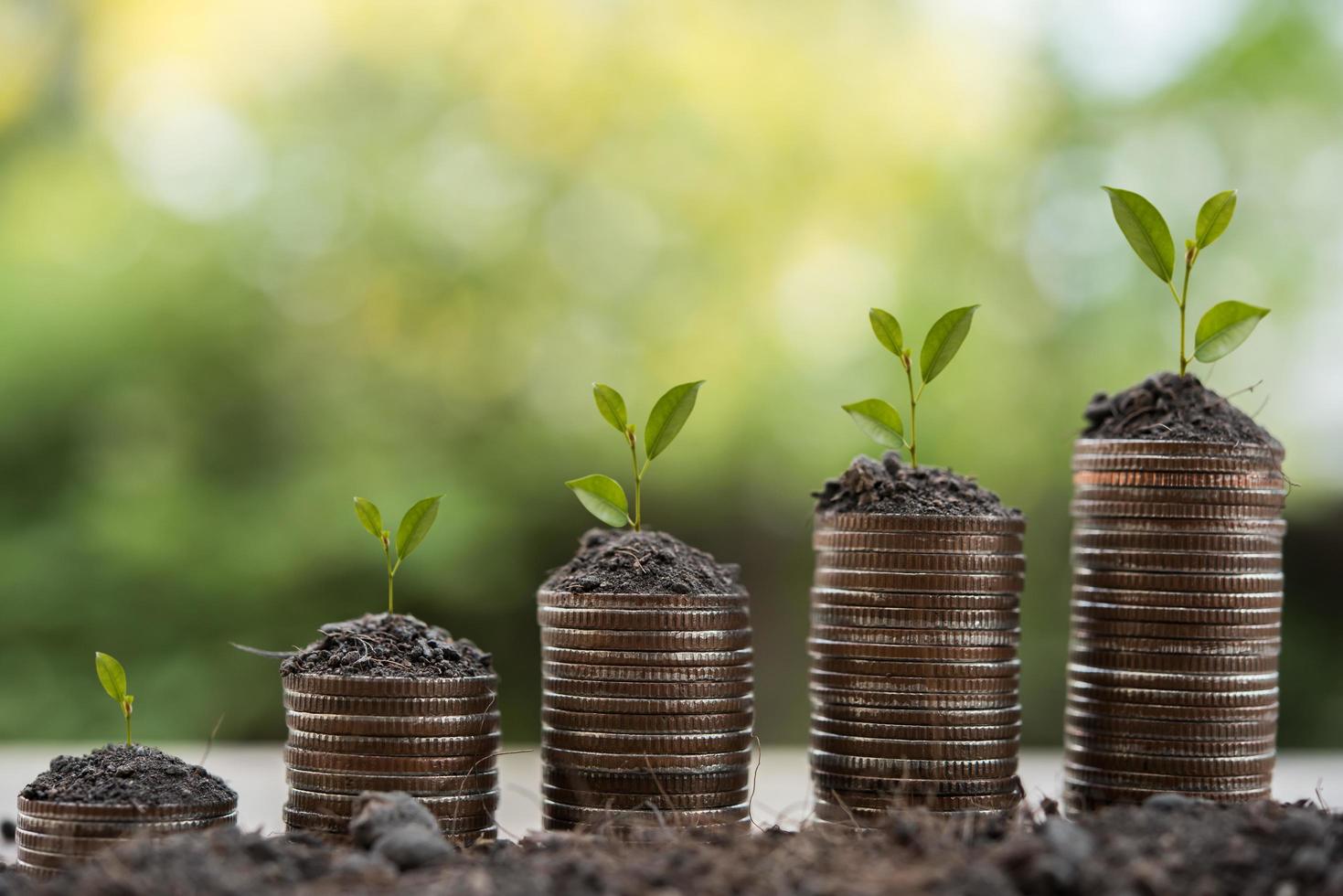 una pila de monedas en la naturaleza verde foto