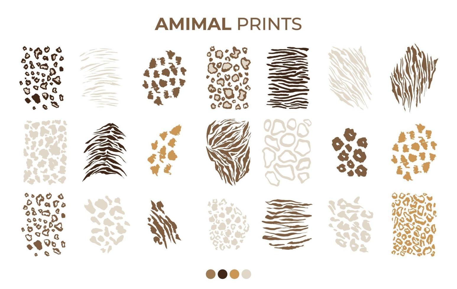 Tiger, Leopard, Tiger, Jaguar Skin Print Patterns vector