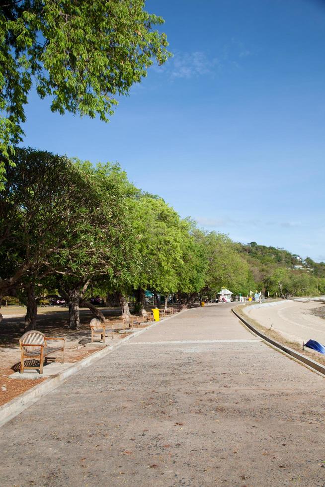 bancos en el parque foto