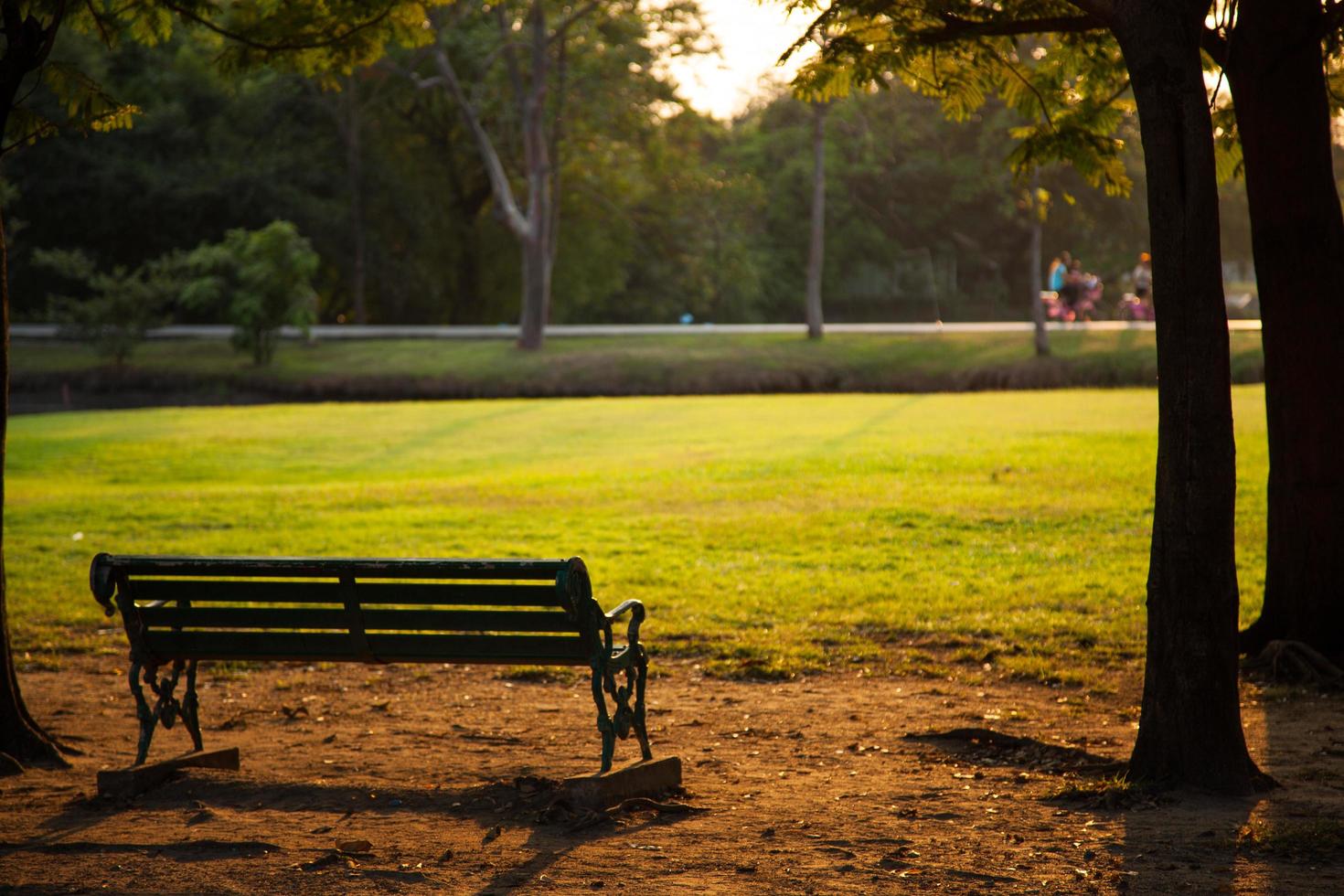 Bench in the park photo