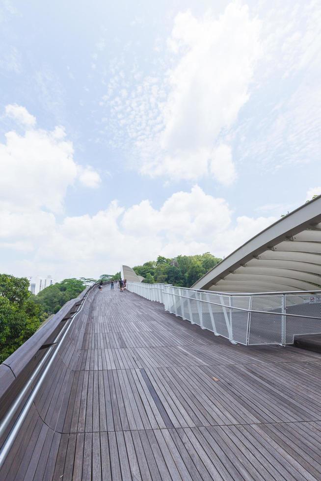 Walkway in the park in Singapore photo