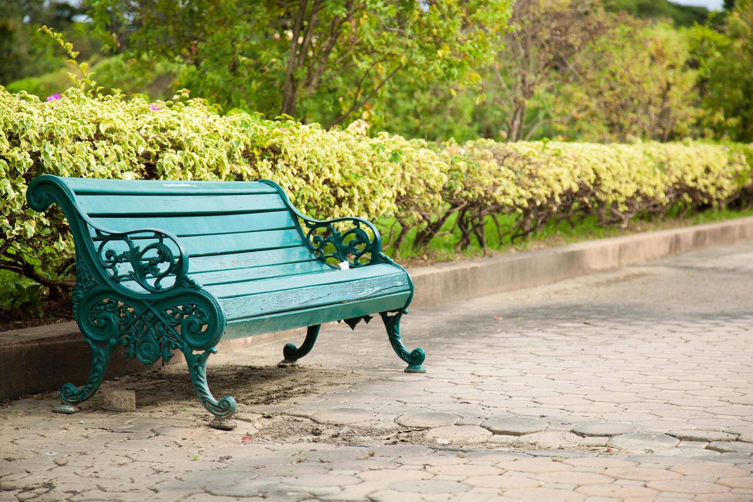 Bench in the park photo