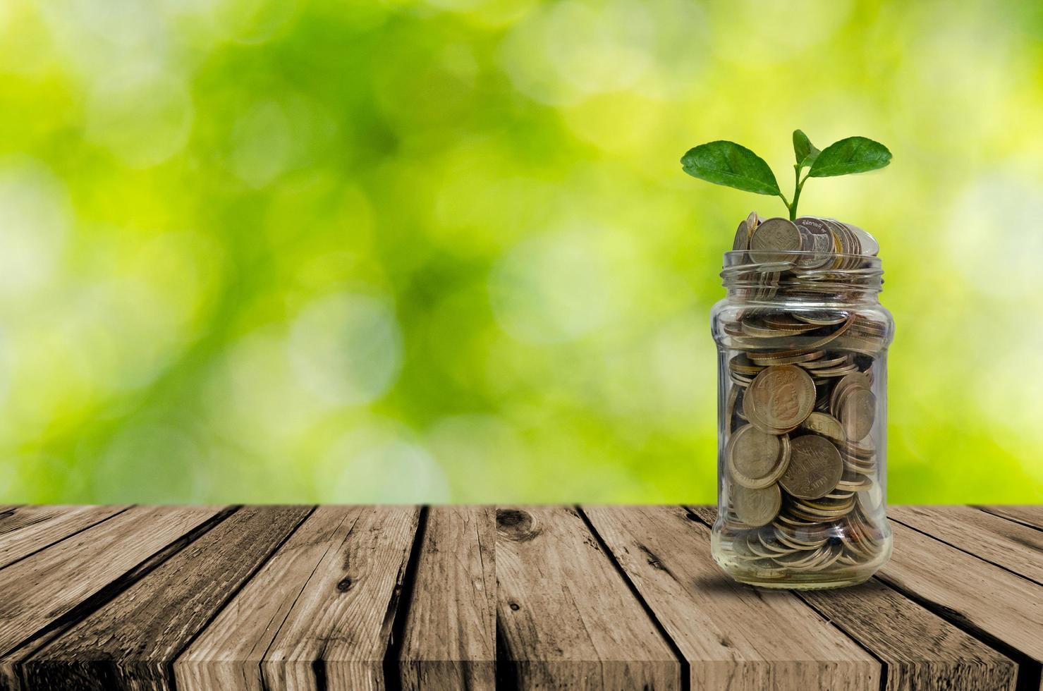 Jar of coins with a plant sprouting out photo