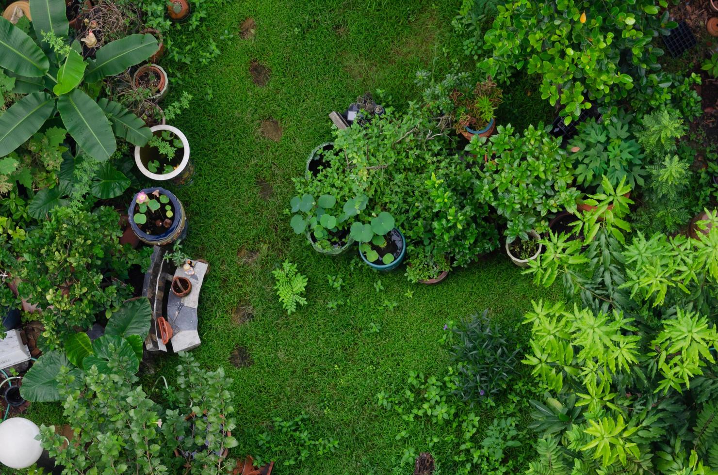 vista superior del jardín foto