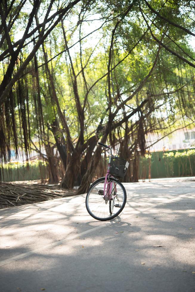 bicicleta vintage en el parque natural foto